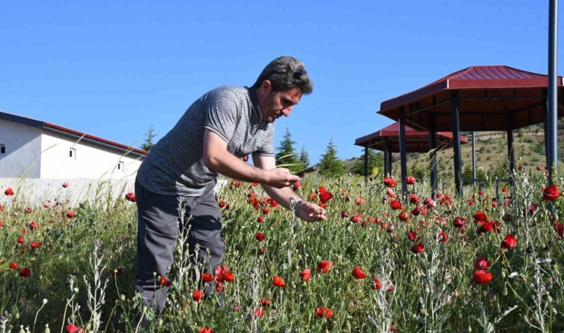 Yozgat'ta bulunan Spor Vadisi