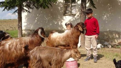 Sorgun ilçesinde yaşayan Emir Ali Dişlioğlu, Milli Eğitim Bakanlığı bursluluk