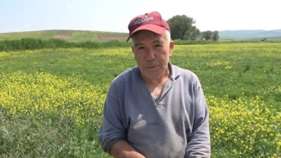 Doğankent beldesinde dondan etkilenen tarlalar ilaçlama ile kurtarılmaya çalışılıyor. Çiftçilerden