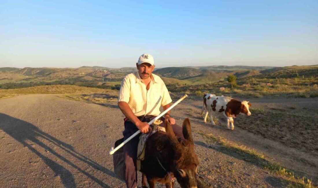Yüksek maaş talebi ile çoban bulmak zor olan Adem Göçer,