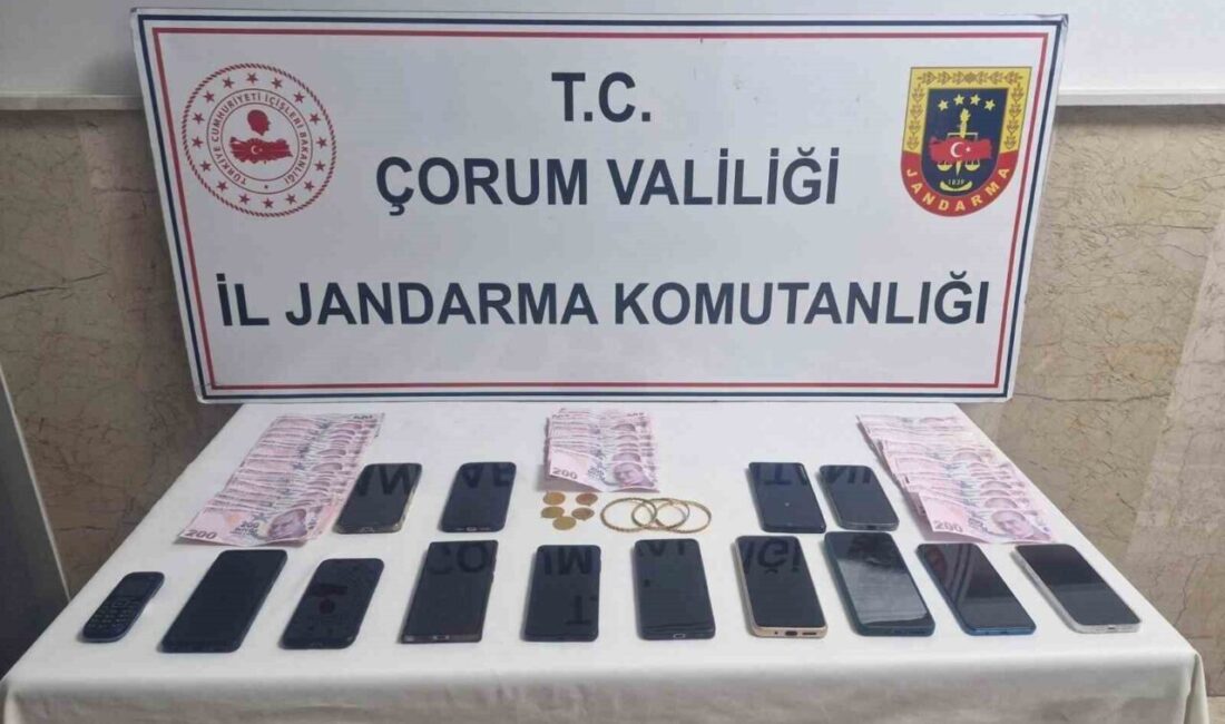 Çorum merkezli 3 ilde ‘sahte gelin’ operasyonu: 4 kişi tutuklandı Çorum merkezli evlilik vaadiyle