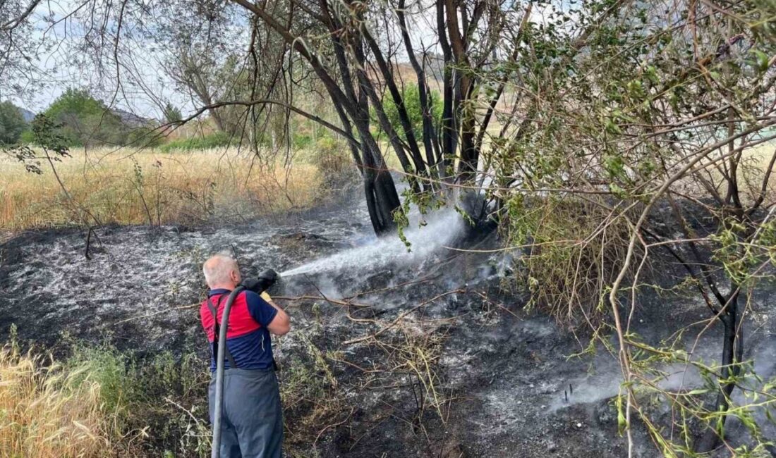 Osmancık ilçesinde çıkan arazi yangını, Ovacıksuyu köyünde hızla büyümeden kontrol