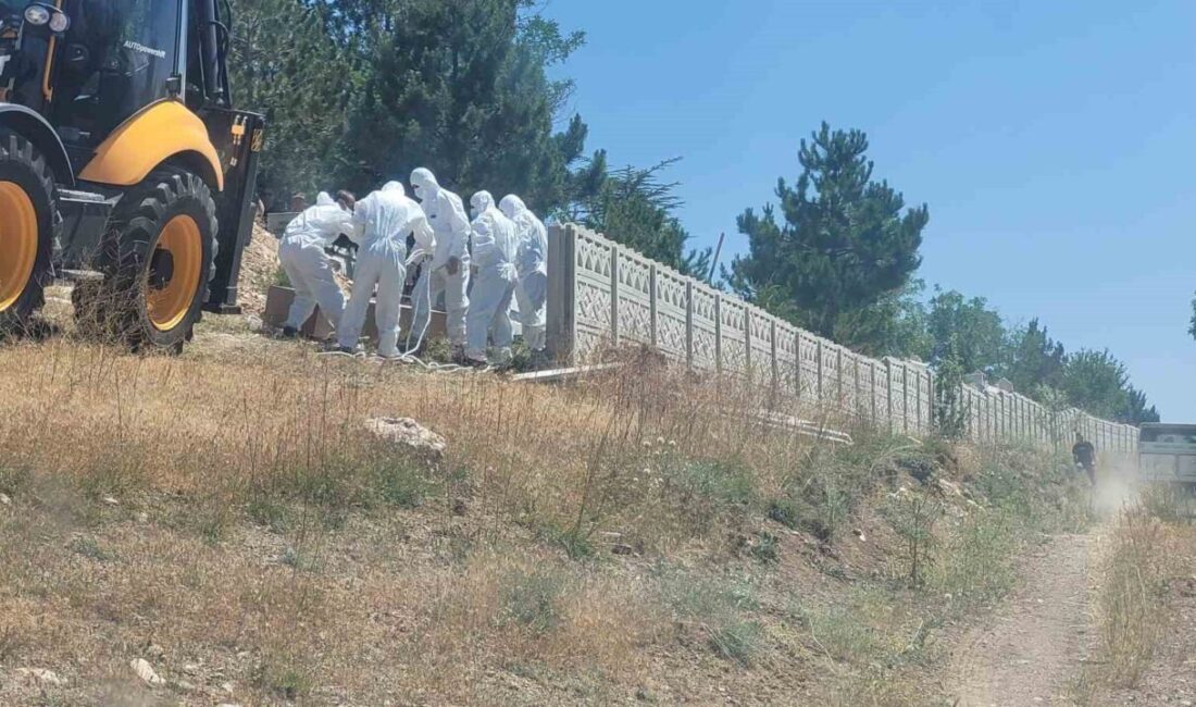 Çorum’da kene ısırması sonucu ölen adam toprağa verildi Çorum'un Alaca ilçesinde kene