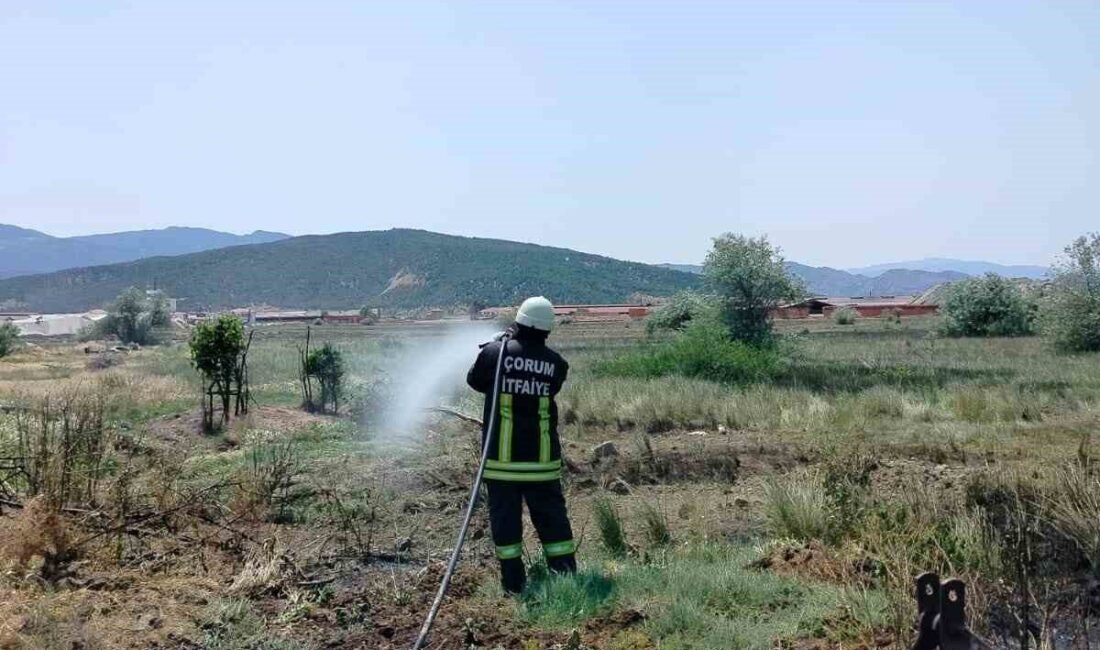 Çorum'un Osmancık ilçesindeki tarla yangını, Dursun A.'ya ait tarlada çıktı.