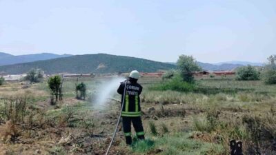 Çorum'un Osmancık ilçesindeki tarla yangını, Dursun A.'ya ait tarlada çıktı.
