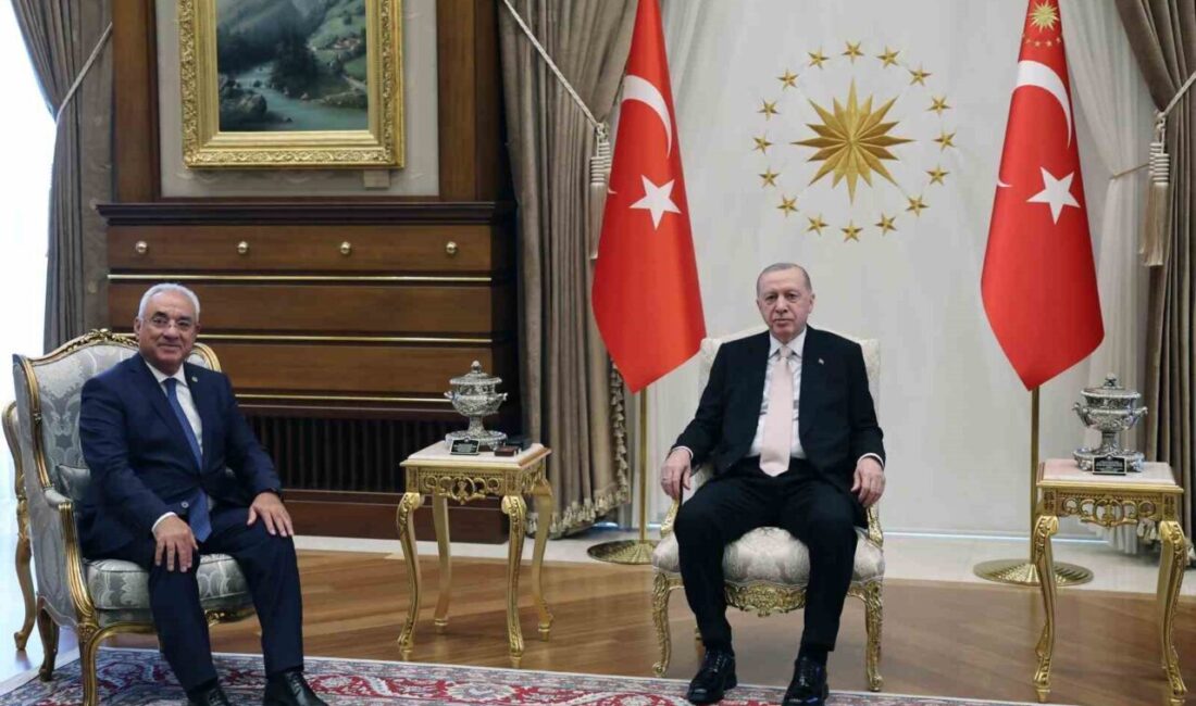 Cumhurbaşkanı Erdoğan, DSP Genel Başkanı Aksakal'ı kabul etti. Görüşme, Cumhurbaşkanlığı