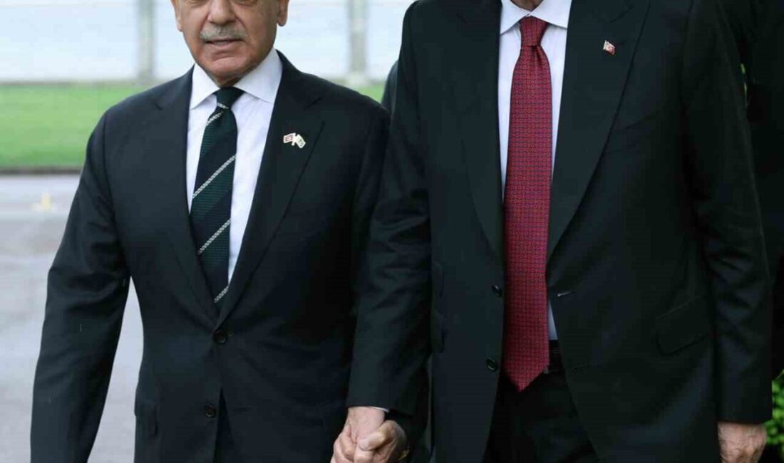 Cumhurbaşkanı Recep Tayyip Erdoğan, Pakistan Başbakanı Şahbaz Şerif'le ikili ilişkiler