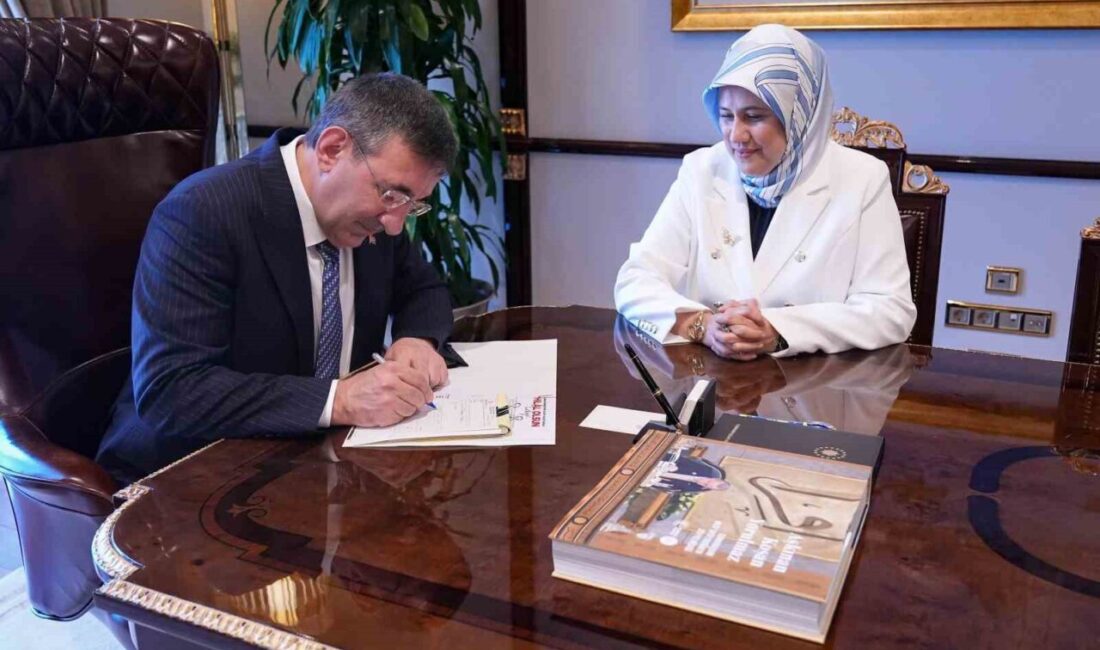 Cumhurbaşkanı Yardımcısı Cevdet Yılmaz,