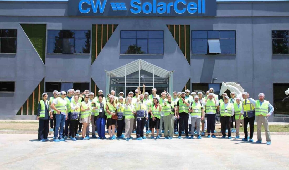 CW Enerji, Dünya Bankası