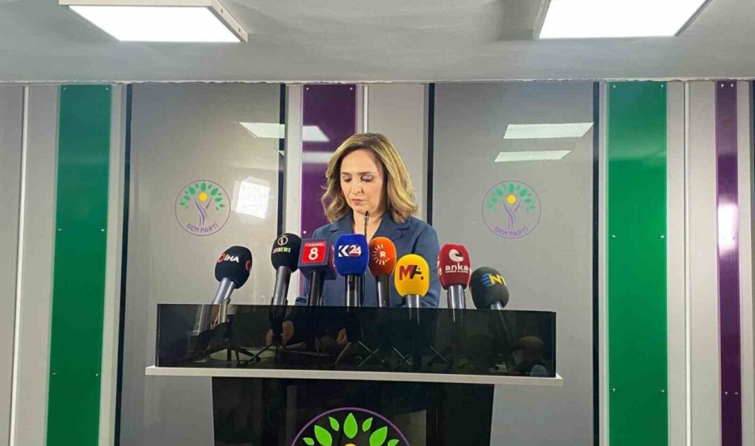 DEM Parti Sözcüsü Ayşegül Doğan, parti olarak İmralı Adası'na ziyaret