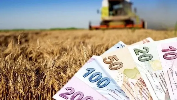 Destekleme Ödemeleri Başladı! 8