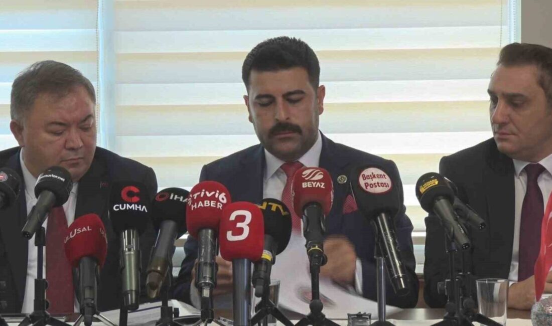 Devlet Memurları Konfederasyonu Başkanı