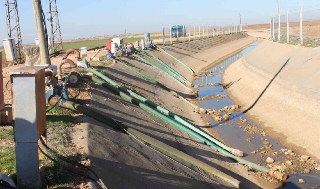Dicle Elektrik, 21 bin çiftçiye ait tarımsal sulama borçlarının ödenmemesi