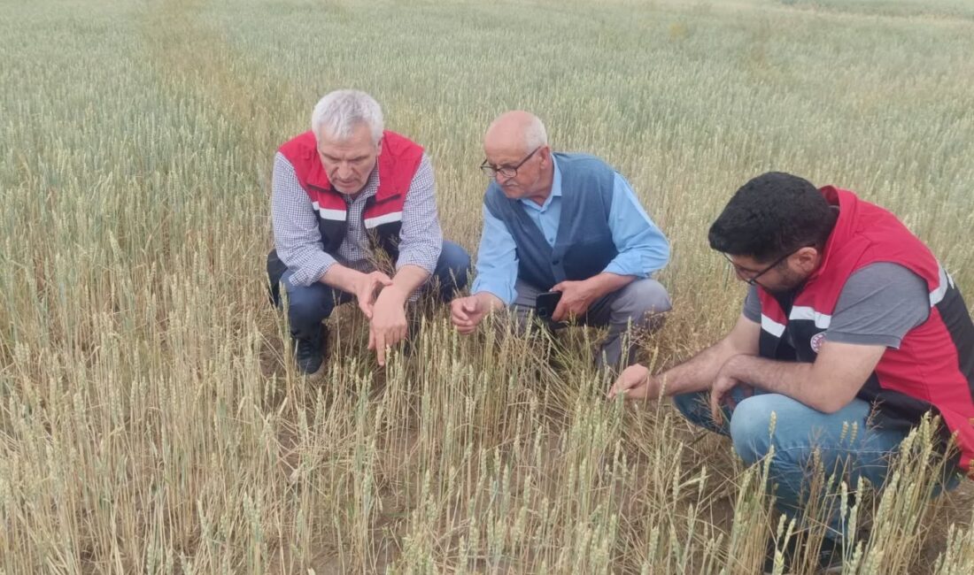 Yozgat genelinde etkili olan sağanak ve dolu yağışı, Yerköy ilçesindeki