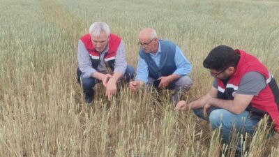 Yozgat genelinde etkili olan sağanak ve dolu yağışı, Yerköy ilçesindeki