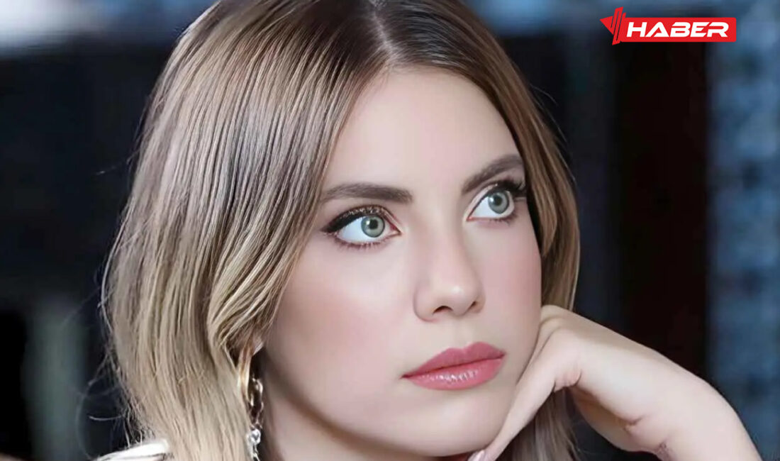 Türk dizi ve sinema