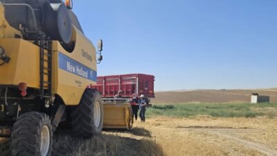 Yerköy İlçe Tarım ve Orman Müdürlüğü, 2025 yılı hasat sezonu