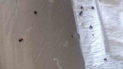 Polatlı'da devriye gezen Jandarma Komutanı Ethem İleri, doğada zor durumda