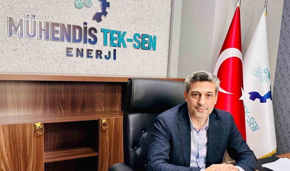 TEK-SEN Enerji Sendikası, kamu sektöründe çalışan mühendislerin sorunlarına dikkat çekmek