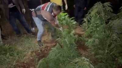 Kırıkkale'nin Sulakyurt ilçesinde jandarma ekipleri, Tepe adlı uyuşturucu arama köpeği