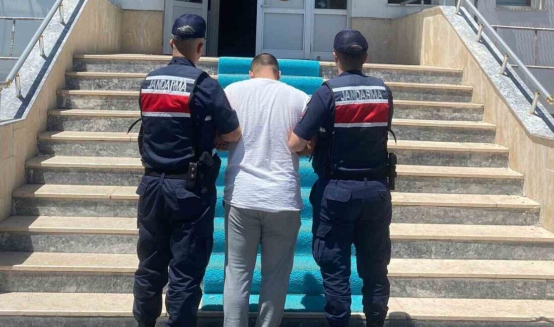 Kırıkkale'nin Balışeyh ilçesinde hırsızlık suçundan aranan H.A.(19) jandarma ekiplerince yakalandı.