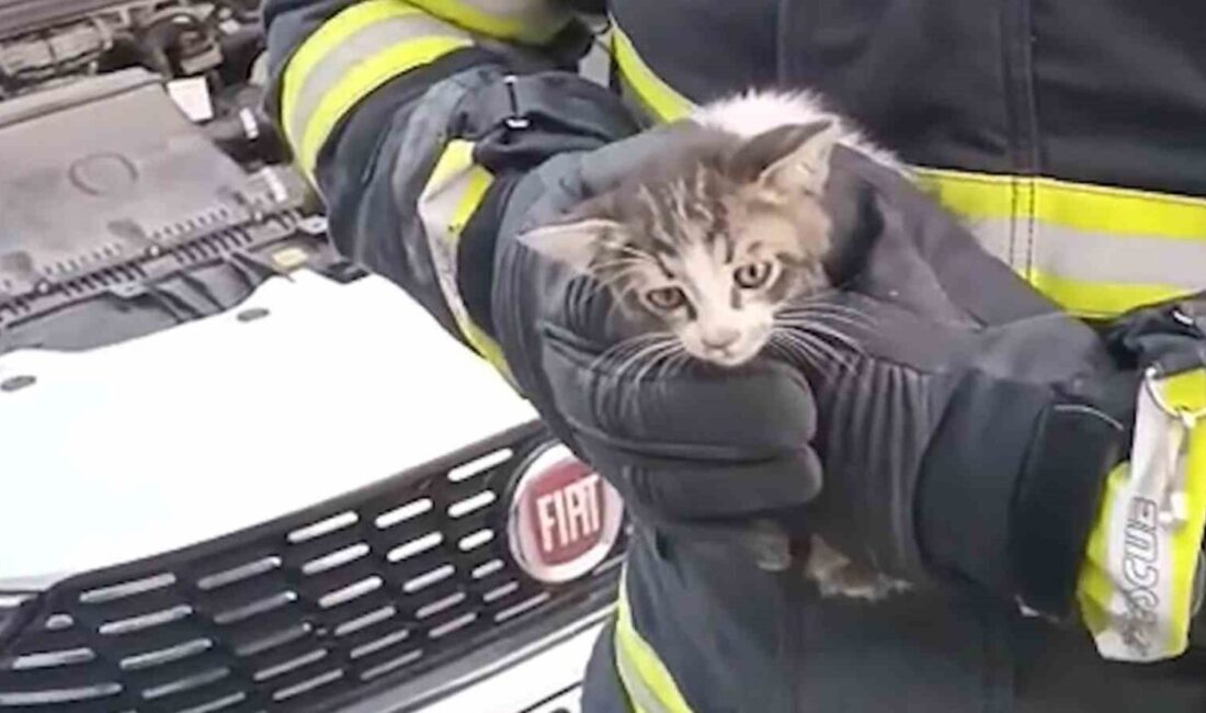 Kırıkkale’de kedi kurtarma operasyonu Kırıkkale'de itfaiye ekipleri, otomobil