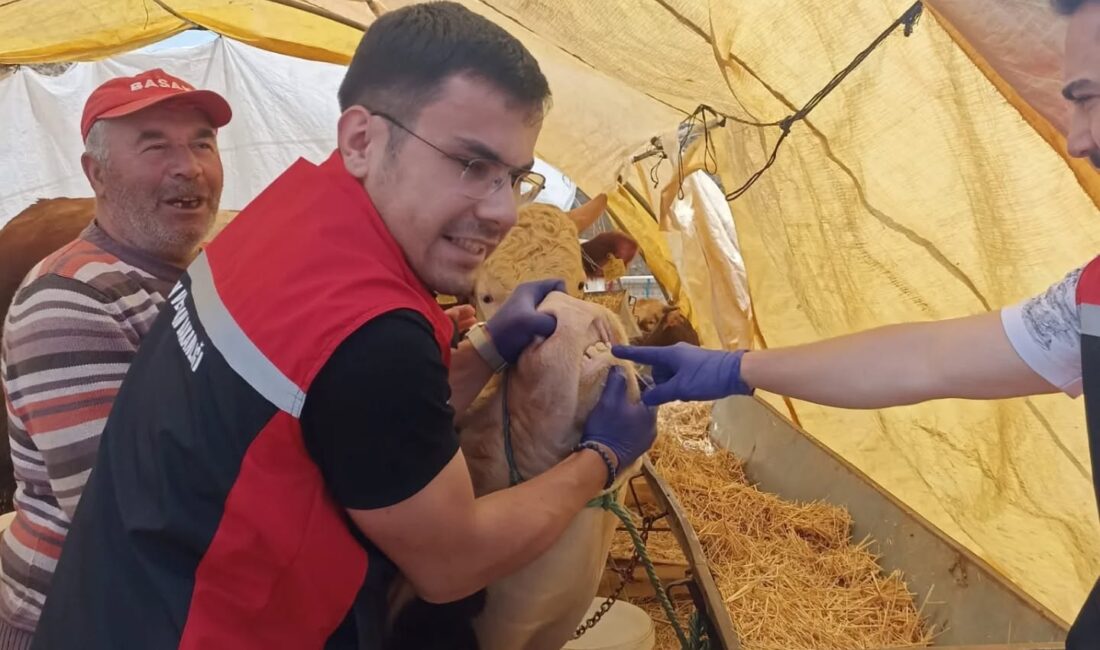 Kurban Bayramı yaklaşırken, Yerköy İlçe Tarım ve Orman Müdürlüğü, ilçe