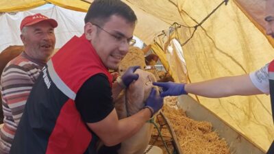 Kurban Bayramı yaklaşırken, Yerköy İlçe Tarım ve Orman Müdürlüğü, ilçe