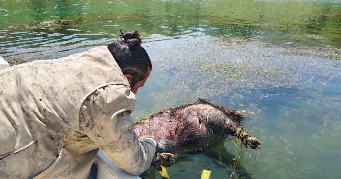 Aydıncık ilçesinde baraj çevresinde yapılan denetimde Jandarma personeli boğulmuş bir