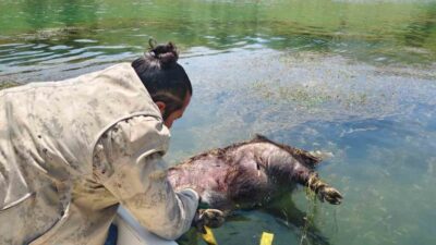Aydıncık ilçesinde baraj çevresinde yapılan denetimde Jandarma personeli boğulmuş bir