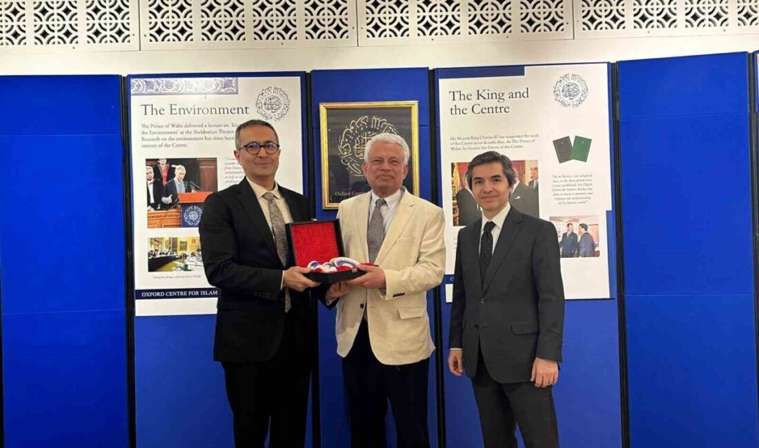 Prof. Dr. Aliy’den, Londra’da dil ve kültürel iş birlikleri görüşmeleri Yunus Emre Enstitüsü Başkanı
