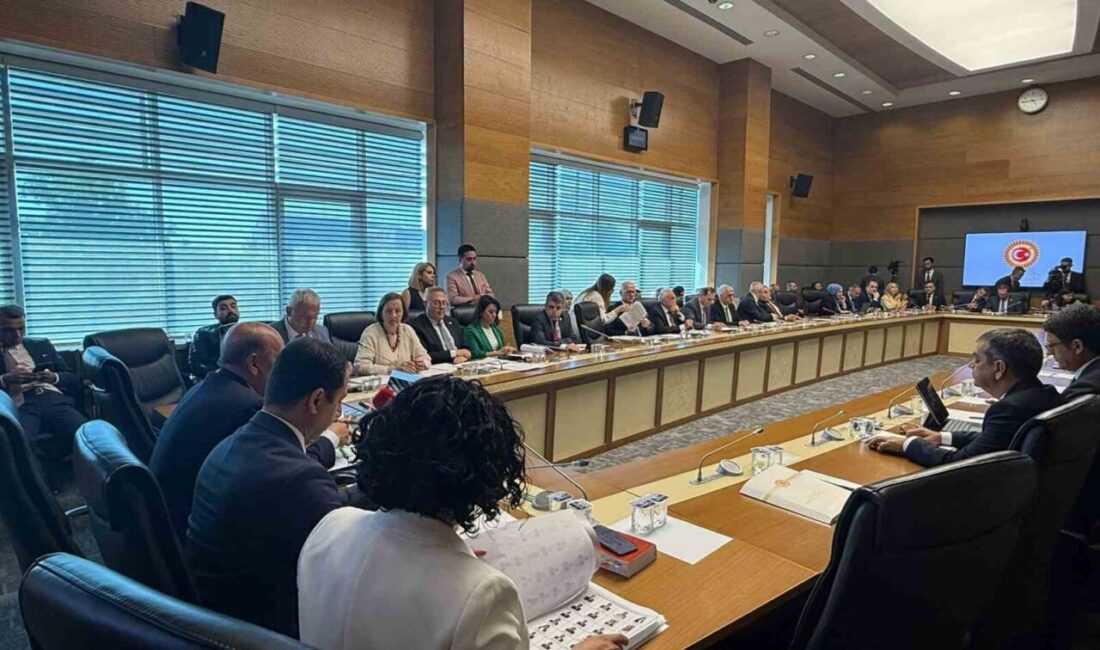 TBMM Sağlık, Aile, Çalışma