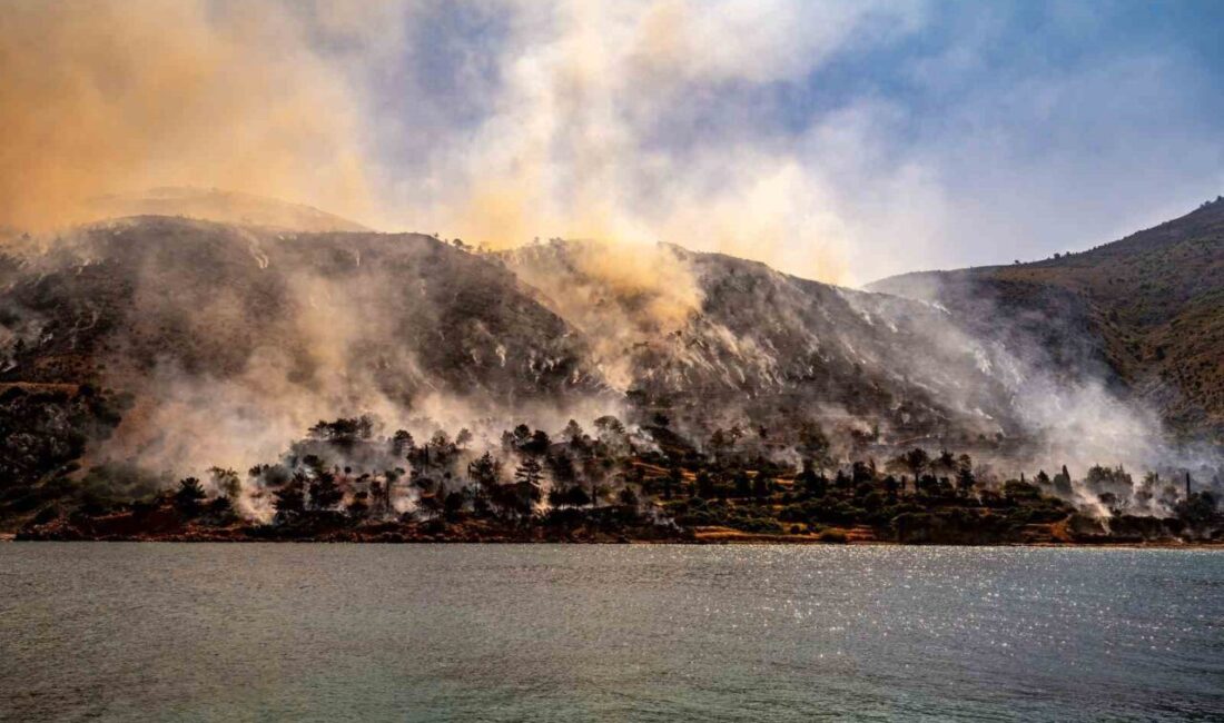 Sakız Adası’ndaki yangınla ilgili 1 kişi gözaltına alındı Yunanistan'ın Sakız Adası'nda çıkan