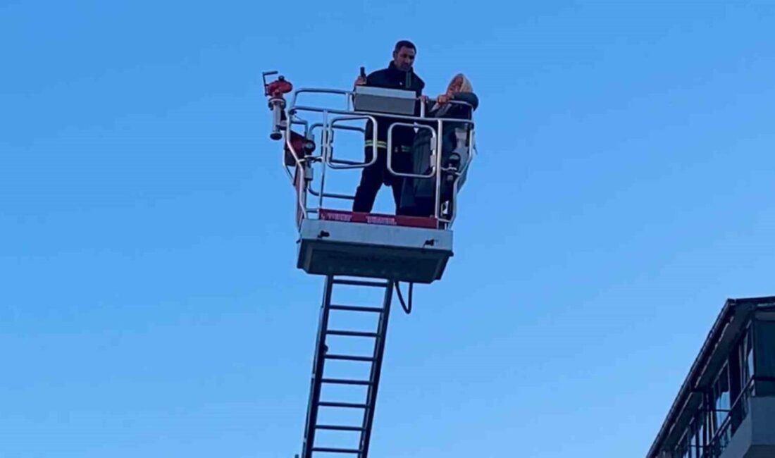 Şarja takılı telefon bataryası patladı, evde yangın çıktı: 8 kişi dumandan etkilendi Kırıkkale'de şarja takılı telefon