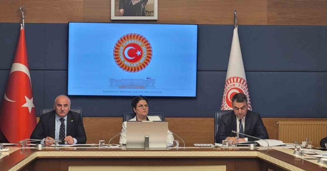 TBMM İnsan Haklarını İnceleme Komisyonu, alt komisyonların kurulması amacıyla toplandı TBMM İnsan Haklarını İnceleme
