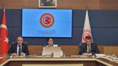 TBMM İnsan Haklarını İnceleme Komisyonu, alt komisyonları belirleyerek çalışmalara başladı.