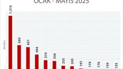 2025 yılı mayıs ayında serbest bölgeler, tarihi ihracat rekorumu kırdı.