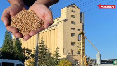 Yozgat ve Yerköy’deki çiftçileri yakından ilgilendiren gelişme Toprak Mahsulleri Ofisi