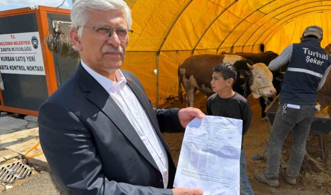 Ali Eroğlu, Bağlum Kurban