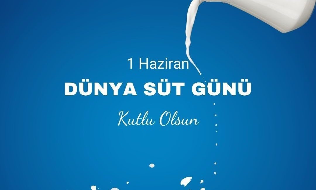 TVHB Merkez Konseyi Başkanı