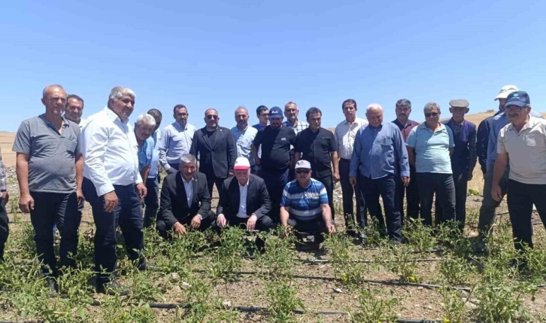 TZOB Genel Başkanı Şemsi