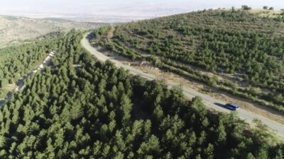 Kırıkkale Valisi Mehmet Makas, yaz aylarındaki orman yangınlarını önlemek için