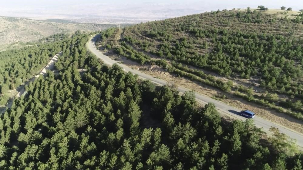 Kırıkkale Valisi Mehmet Makas, yaz aylarındaki orman yangınlarını önlemek için