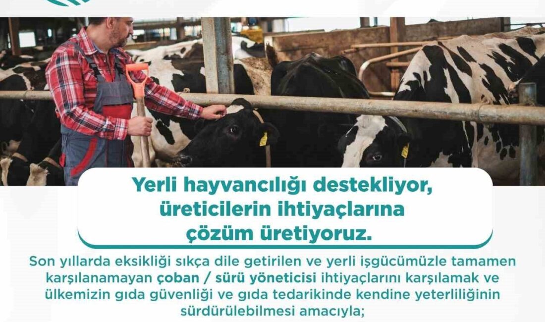 Yabancı çoban ve hayvan bakıcıları için Türkiye'de çalışma izni başvuruları