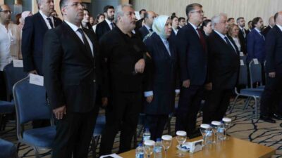 Yunus Emre Enstitüsü, Millî Eğitim Bakanlığı, ÖSYM ve Türk Dil