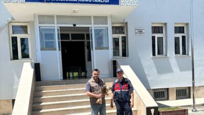 Yozgat İl Jandarma Komutanlığı Çevre, Doğa ve Hayvanları Koruma Timi