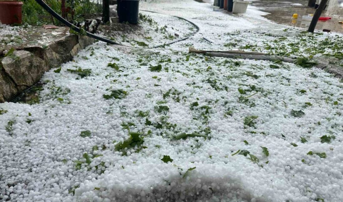Yozgat'ın Saraykent ilçesi ve Lök köyünde meydana gelen şiddetli dolu