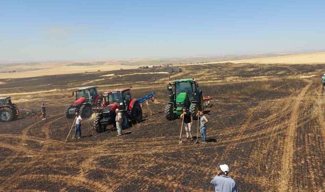 Yozgat’ta 100 dönüm ekili alan kül oldu Yozgat'ın Sorgun ve Sarıkaya