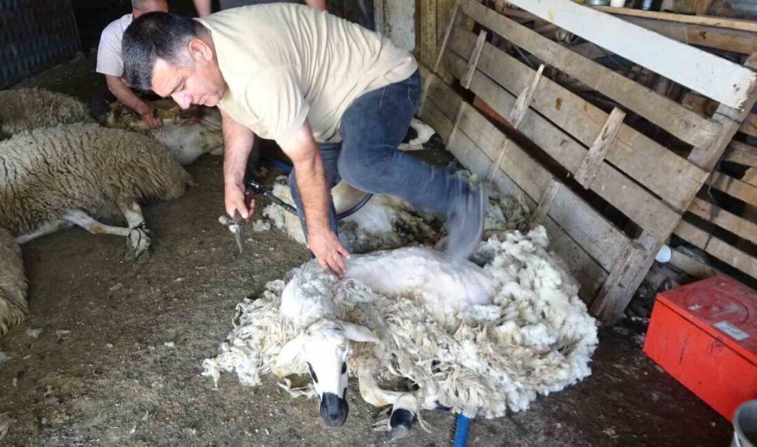 Yozgat'ta yaz mevsimiyle birlikte