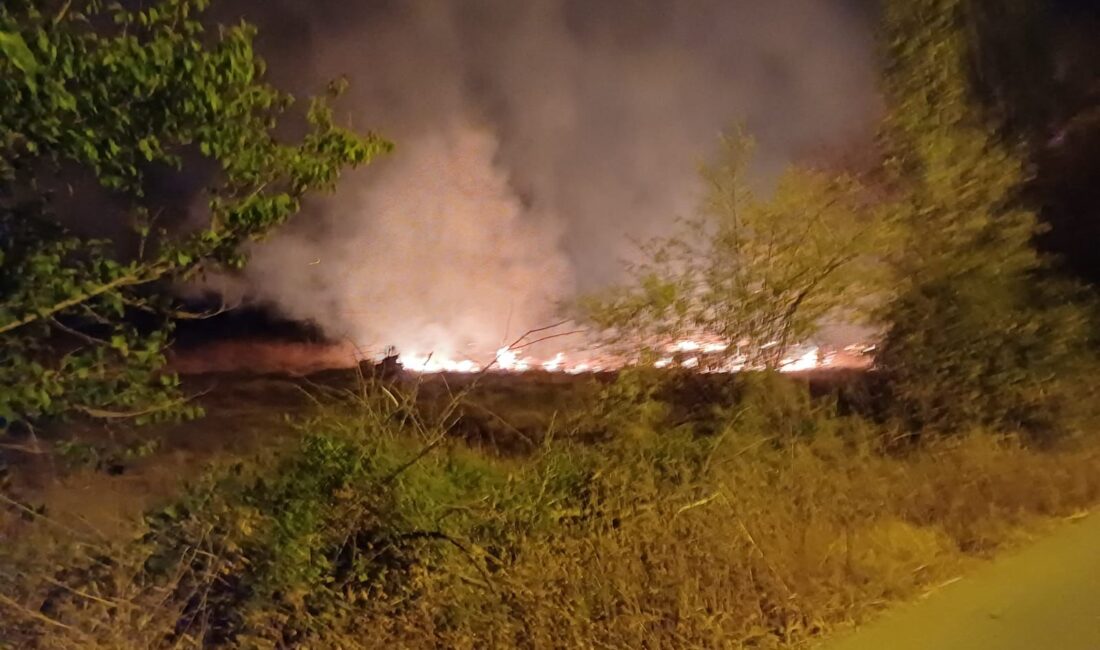Yerköy Kaymakamlığı, mevsim normallerinin üzerinde seyreden sıcaklıklar ve meteorolojik veriler